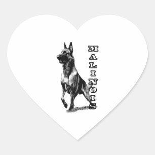 Pegatina En Forma De Corazón Los malinois belgas son lo mejor