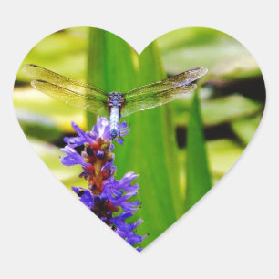 Pegatina En Forma De Corazón Loto de la libélula y flor púrpura