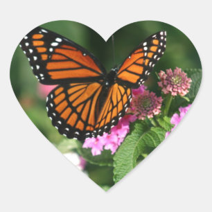 Pegatina En Forma De Corazón Magnífico diseño de mariposa monarca