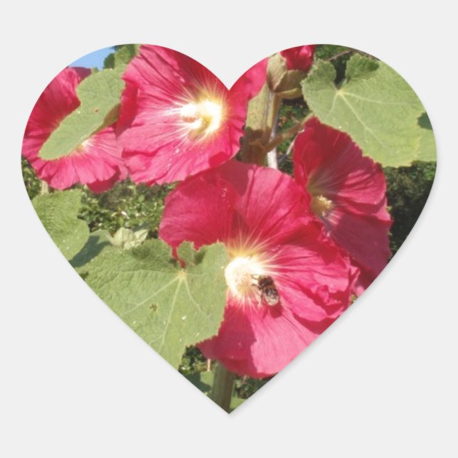 Pegatina En Forma De Corazón Malvarisas rosas (Anverso)