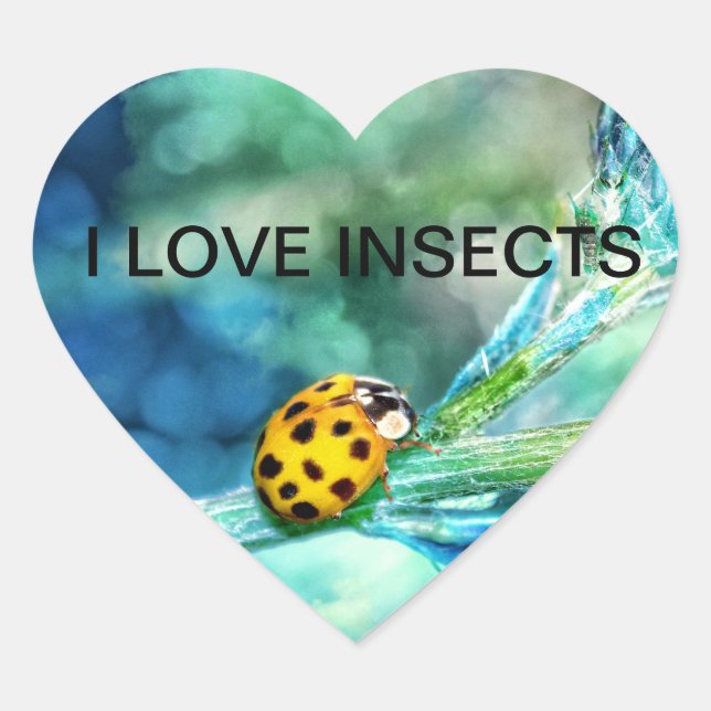 Pegatina En Forma De Corazón Marienkäfer (Anverso)