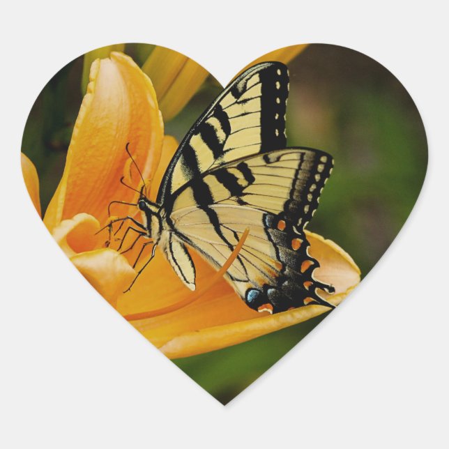 Pegatina En Forma De Corazón Mariposa (Anverso)