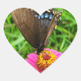 Pegatina En Forma De Corazón Mariposa de cola negra en flor rosa