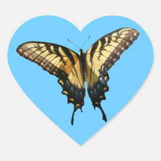 Pegatina En Forma De Corazón Mariposa de cola tragaluz III Bella foto colorida