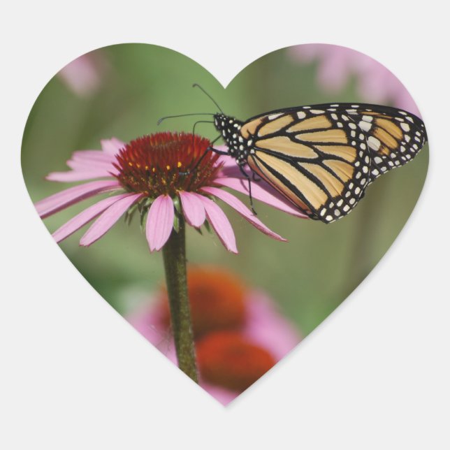 Pegatina En Forma De Corazón Mariposa monarca en la flor (Anverso)