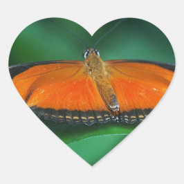 Pegatina En Forma De Corazón Mariposa naranja brillante y negra en hoja