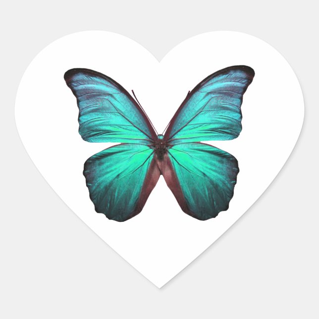 Pegatina En Forma De Corazón Mariposa Verde azulada brillante (Anverso)
