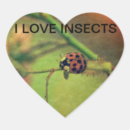 Pegatina En Forma De Corazón Mariquita