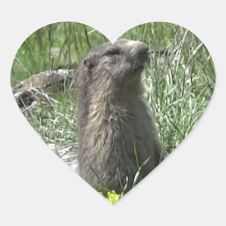 Pegatina En Forma De Corazón marmota primavera flores animales