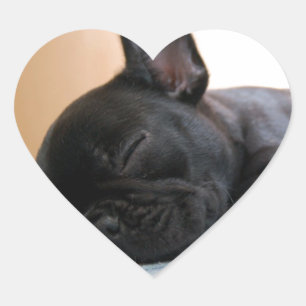 Pegatina En Forma De Corazón Mascota de Perro de Toro francés cachorro lindo de