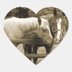 Pegatina En Forma De Corazón Mejores amigos