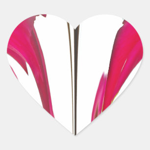 Pegatina En Forma De Corazón Moda asombrosa rosa rosa roja bajo el cielo blanco