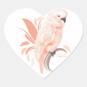 Pegatina En Forma De Corazón Moluccan Cockatoo