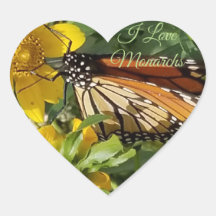 MONARCH BUTTERFLY - PEGATINAS