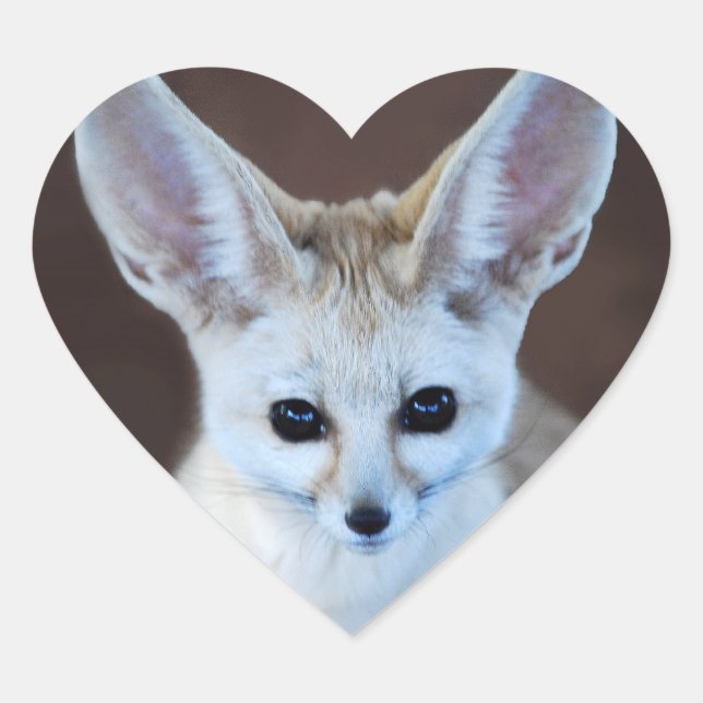 Pegatina En Forma De Corazón Mundos Cutest Fennec Fox (Anverso)