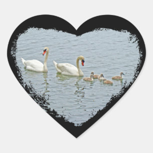 Pegatina En Forma De Corazón Mute Swan Famly