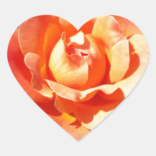 Pegatina En Forma De Corazón Naranja brillante rosa