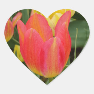 Pegatina En Forma De Corazón Naranja rosa Pegatina del corazón de la flor tulip