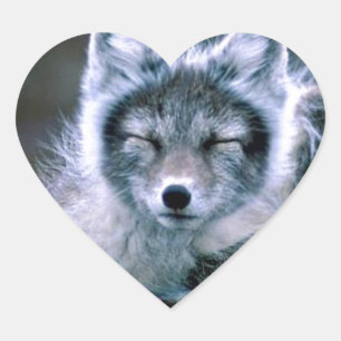 Pegatina En Forma De Corazón Naturaleza