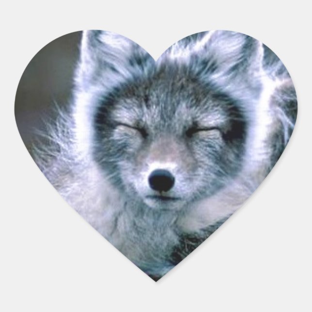 Pegatina En Forma De Corazón Naturaleza (Anverso)