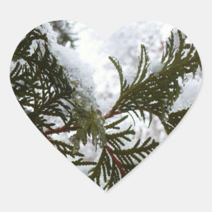 Pegatina En Forma De Corazón Nieve en ramas de hoja perenne
