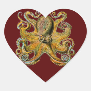 Pegatina En Forma De Corazón Octopus