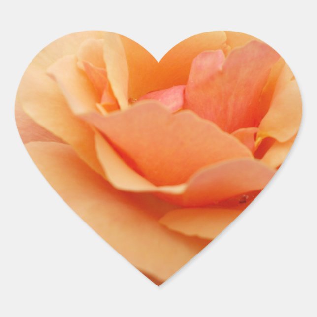 Pegatina En Forma De Corazón Orange Rose Sticker (Anverso)