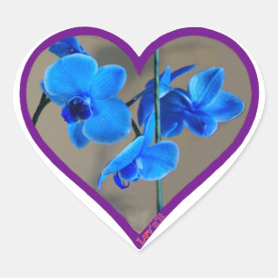 Pegatina En Forma De Corazón orquídea azul