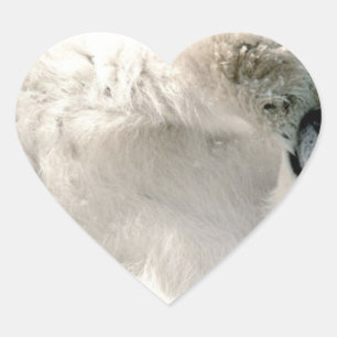 Pegatina En Forma De Corazón Oso Polar Cub Cute Animal Ártico Congelado Inviern