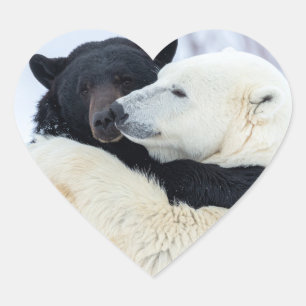 Pegatina En Forma De Corazón Oso polar y negro abrazándose