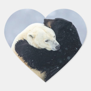 Pegatina En Forma De Corazón Oso polar y oso negro abrazándose