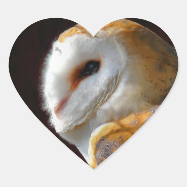 PEGATINA EN FORMA DE CORAZÓN OWLS (Anverso)