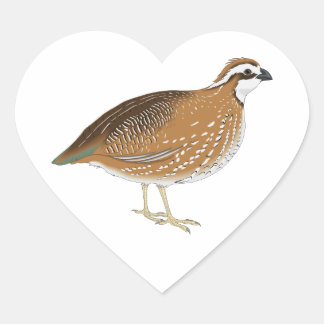 Pegatina En Forma De Corazón Pájaro de barro realista
