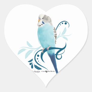 Pegatina En Forma De Corazón Parakeet azul