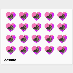 Pegatina En Forma De Corazón Patitos sobre sorbete de frambuesa rosa y púrpura