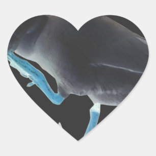 Pegatina En Forma De Corazón Pato con me desperté así y Hakuna Matata texto