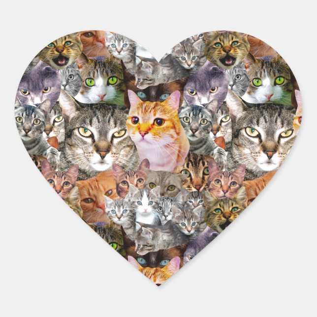 Pegatina En Forma De Corazón Pattern Cats (Anverso)
