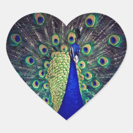 Pegatina En Forma De Corazón Peacock azul cobalto