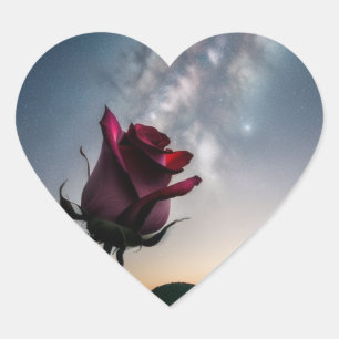 Pegatina En Forma De Corazón Pegatina con forma de corazón con rosa y estrellas