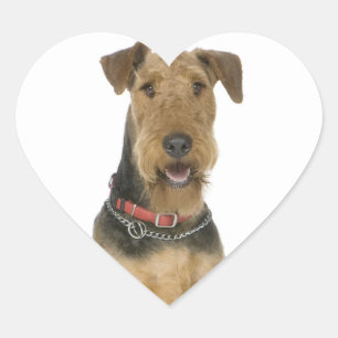 Pegatina En Forma De Corazón Pegatina de cachorro de perro Terrier Airedale Amo