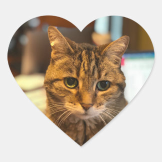 Pegatina En Forma De Corazón pegatina de calliope