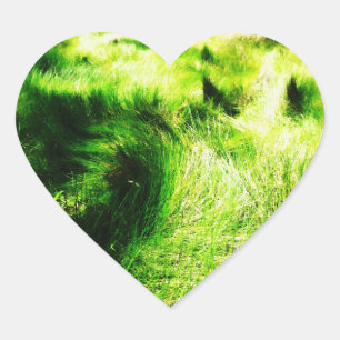 Pegatina En Forma De Corazón Pegatina de campo verde