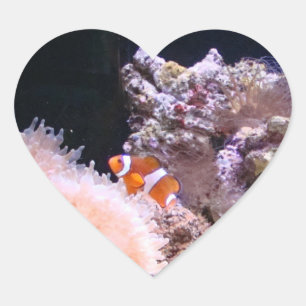 Pegatina En Forma De Corazón Pegatina de Clownfish
