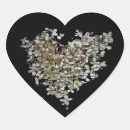Pegatina En Forma De Corazón Pegatina de escaneografía botánica de corazón de h