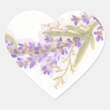 Pegatina de flores de lavanda acuarela
