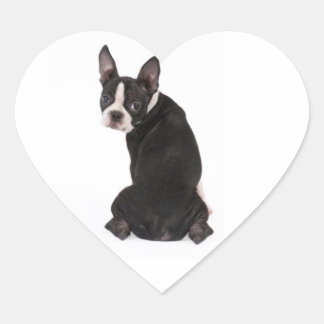 Pegatina En Forma De Corazón Pegatina de Perro Terrier de Boston