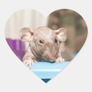 Pegatina En Forma De Corazón pegatina de ratas