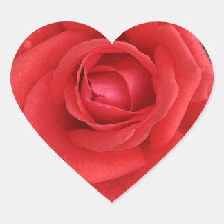 Pegatina En Forma De Corazón Pegatina de rosa
