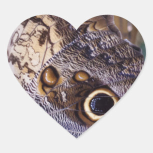 Pegatina En Forma De Corazón Pegatina del corazón de ala de mariposa