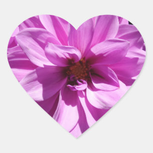 Pegatina En Forma De Corazón Pegatina del corazón de dolor